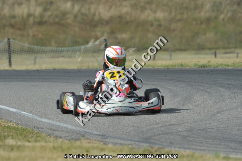 DSC_1190 (2).JPG